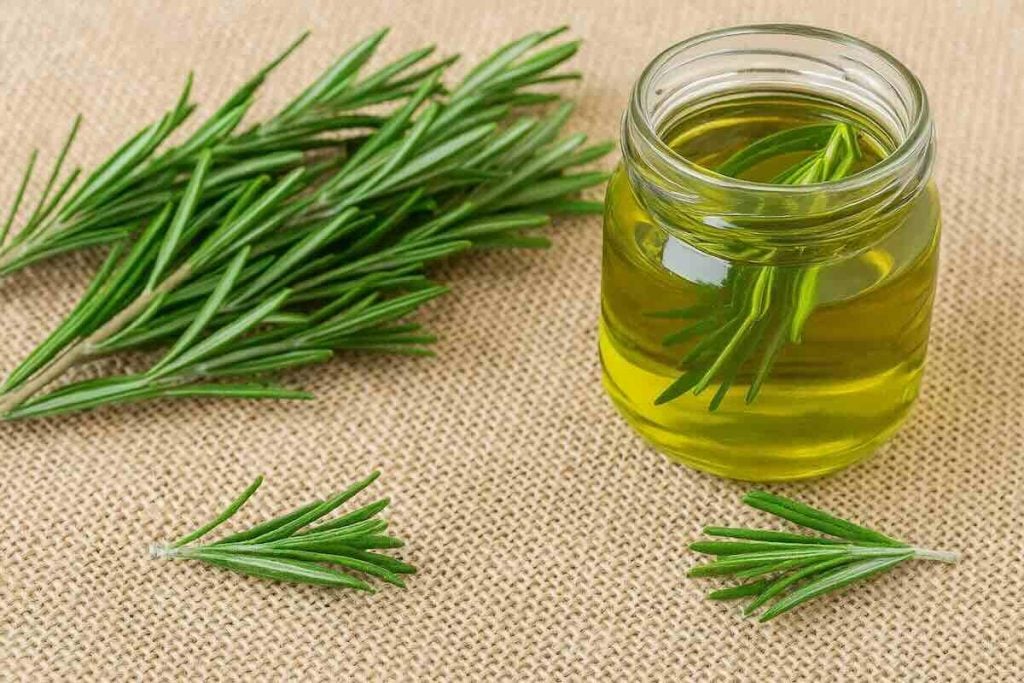 3 astuces de génie avec du romarin pour transformer votre quotidien