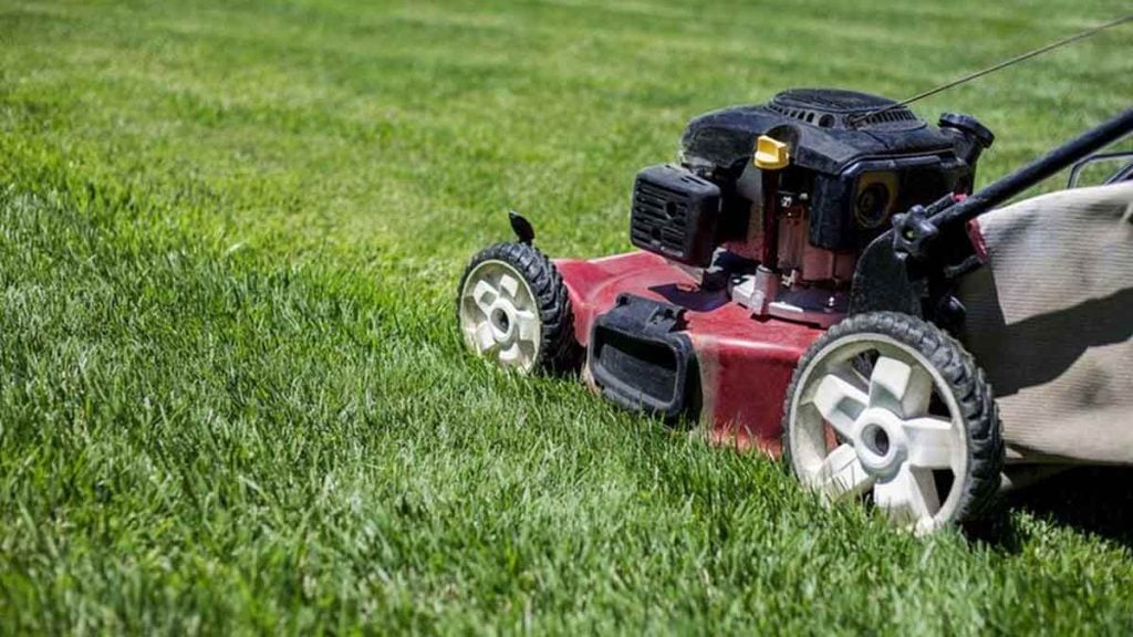 Interdiction de tondre la pelouse  les horaires à respecter dès le 4 juin dans 23 départements