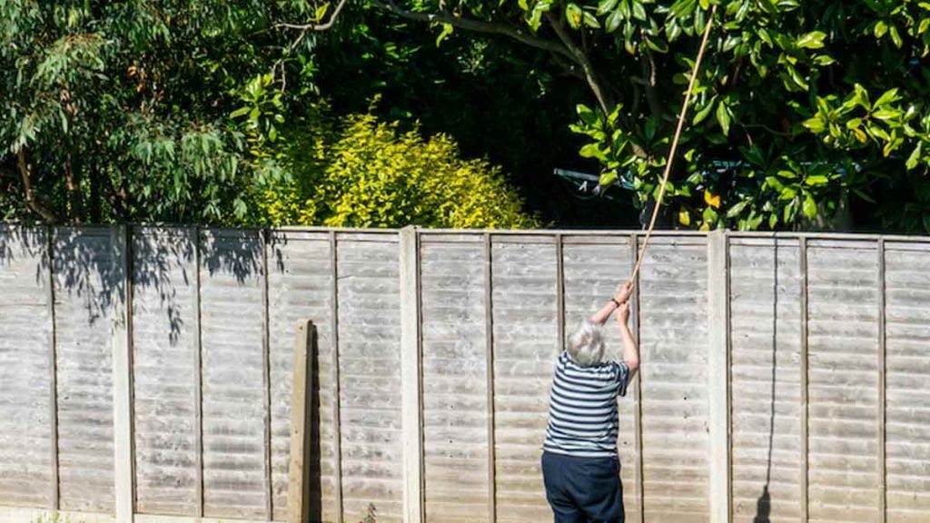 Mon voisin a coupé l'arbre dans mon jardin pour m'espionner pendant que je bronze