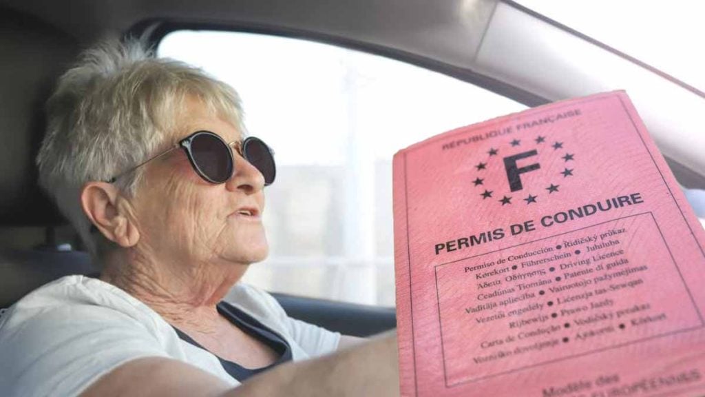 permis de conduire